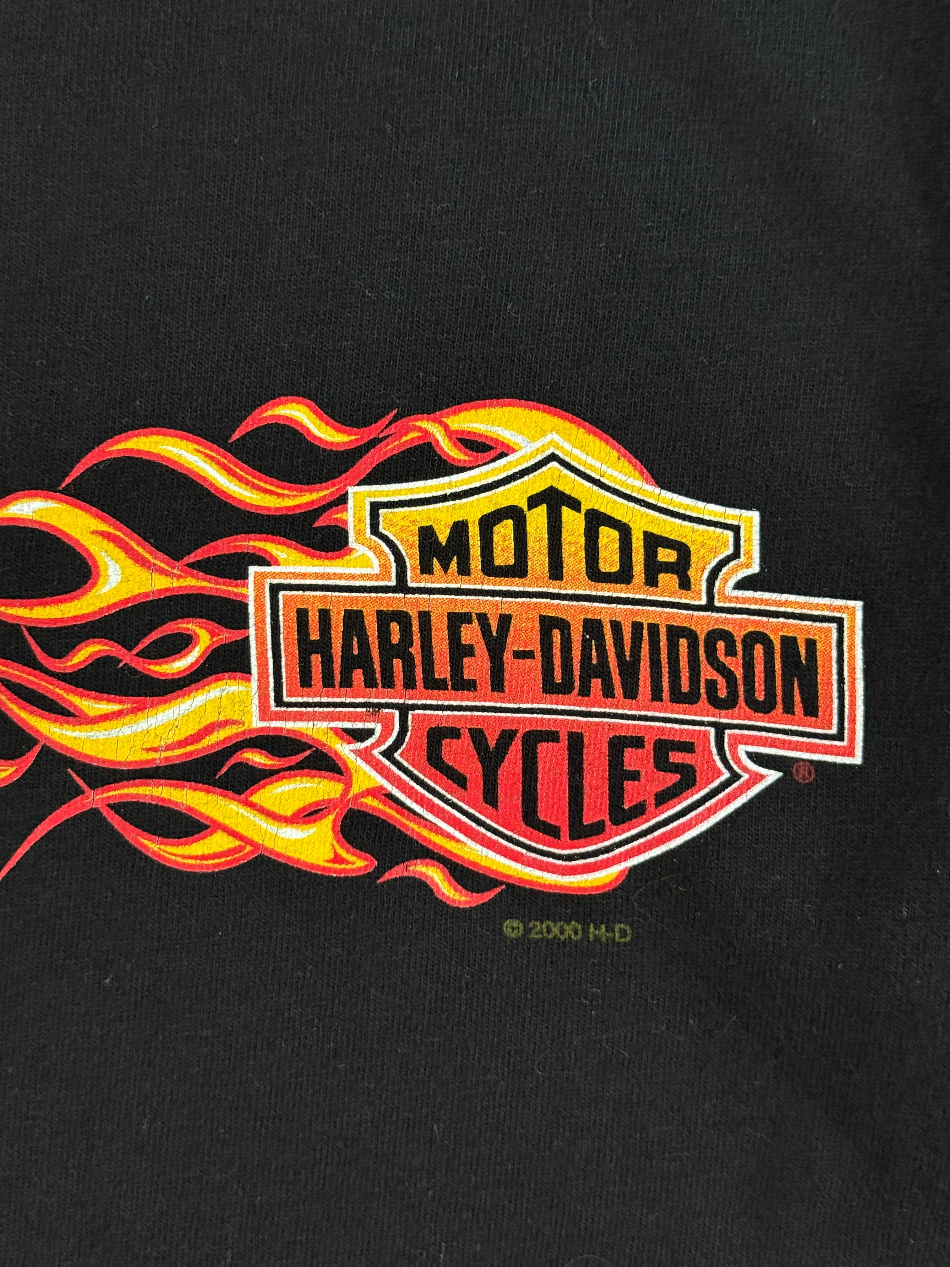 Vintage Flame Graphic Harley Davidson T-Shirt