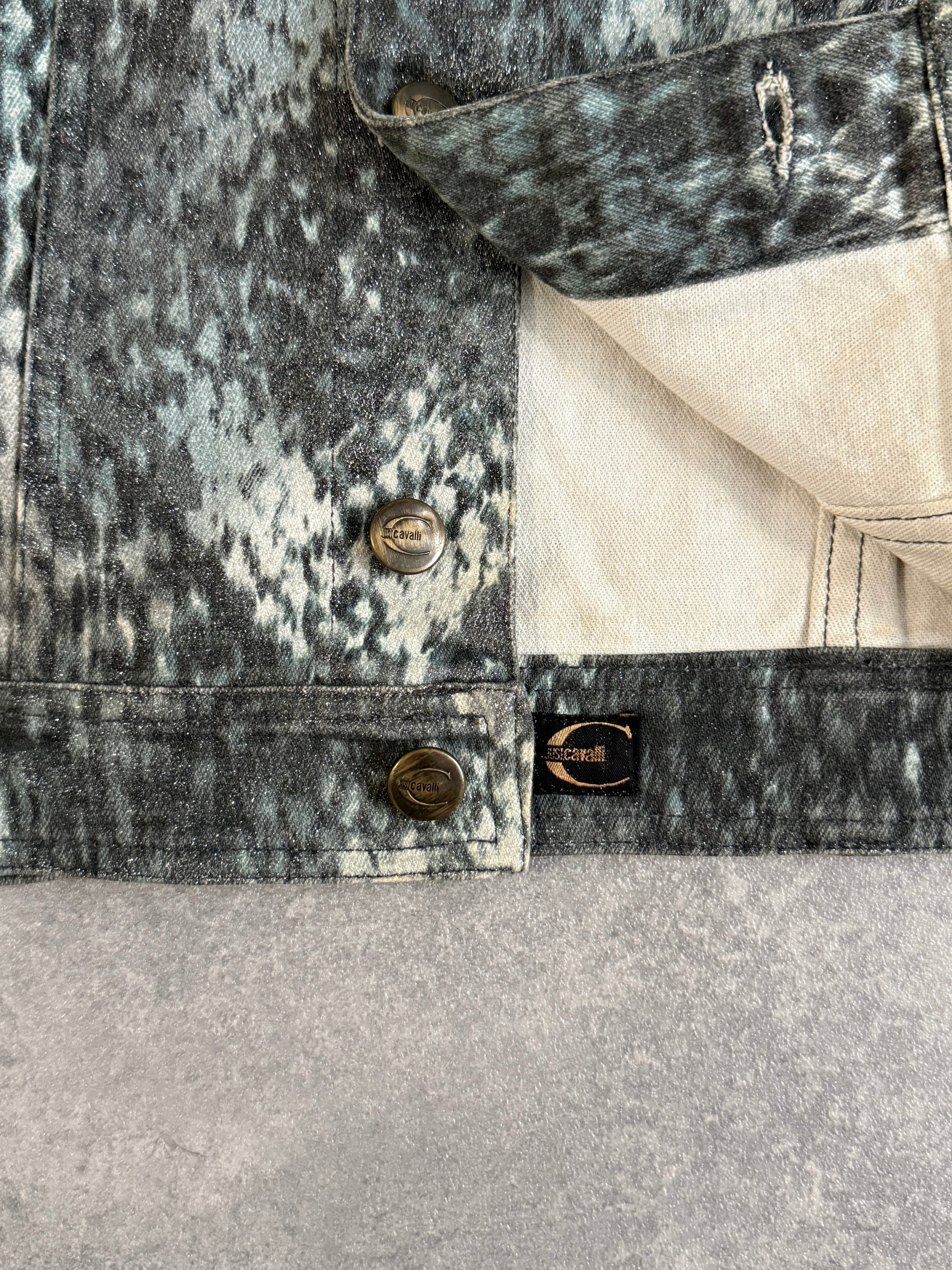 Vintage 1990's Roberto Cavalli Snakeskin Denim Jacket