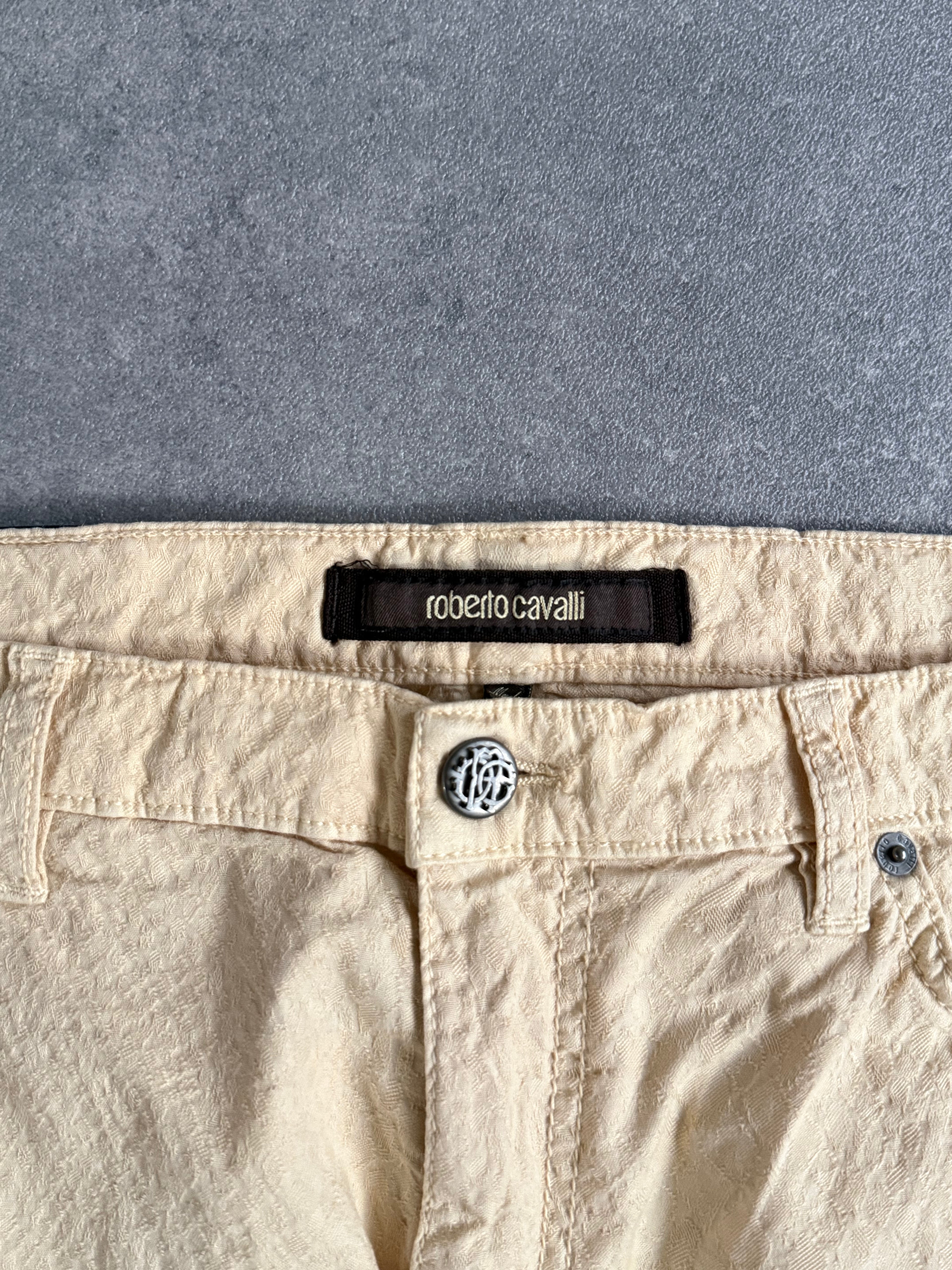 Vintage Roberto Cavalli Snakeskin Jean