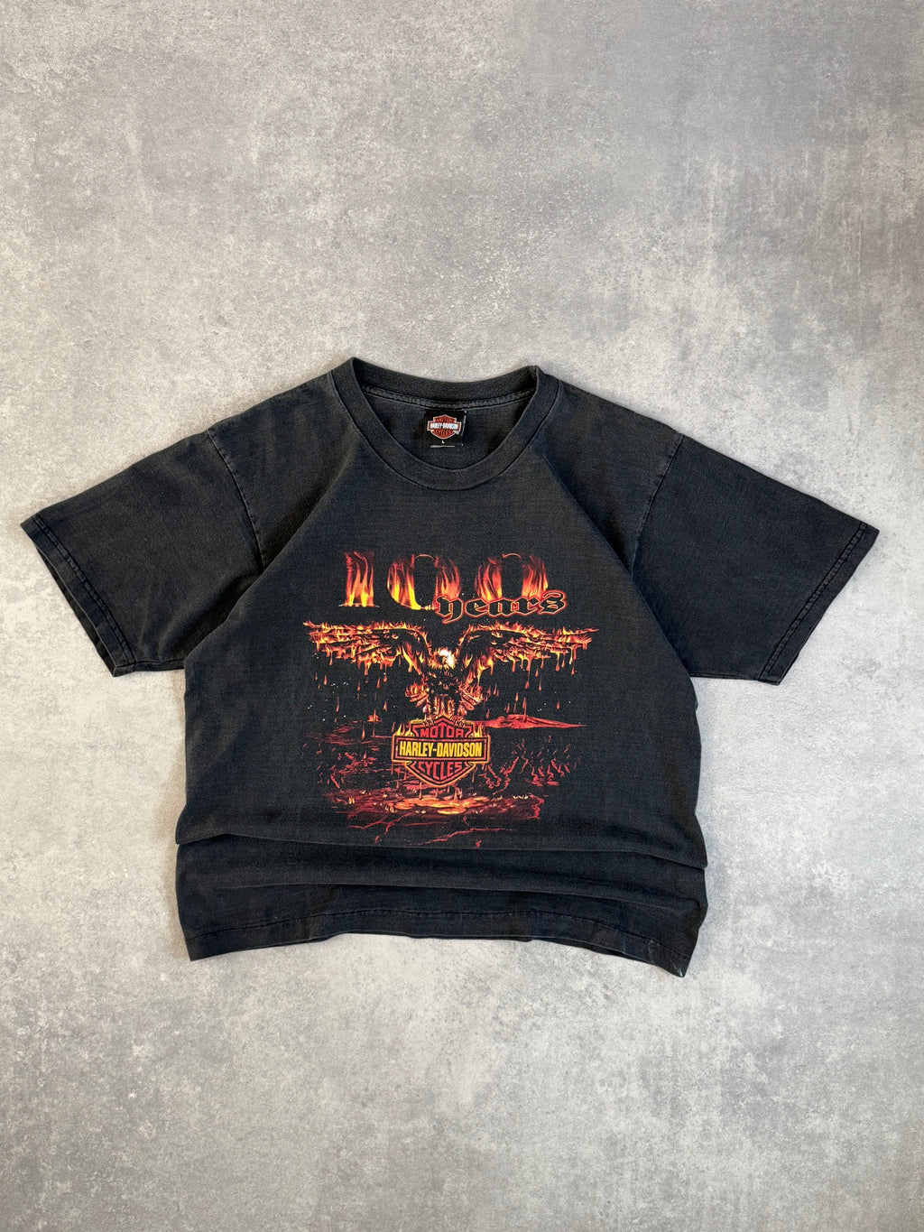 Vintage Harley Davidson Faded Eagle Flame T-shirt