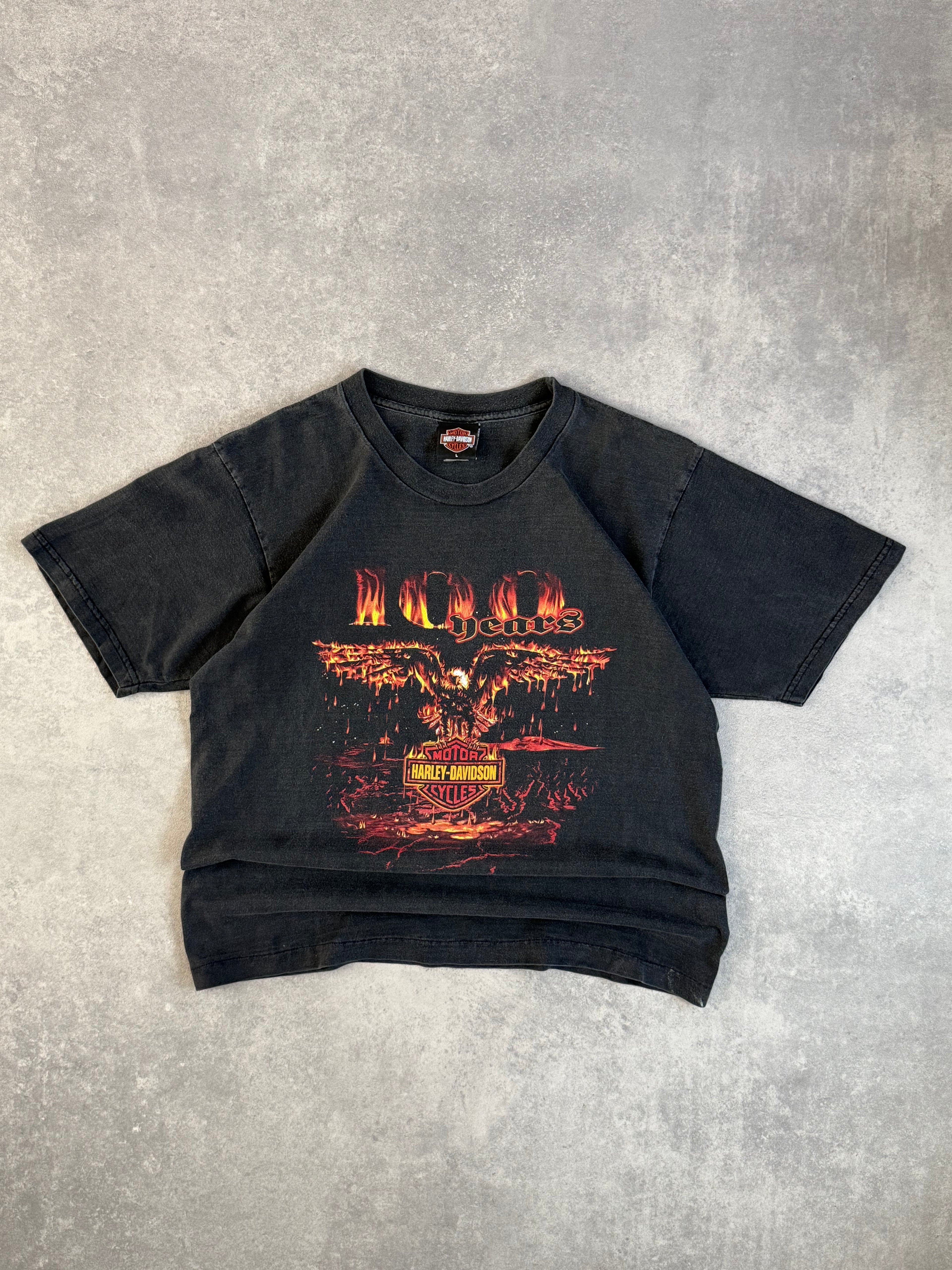 Vintage Harley Davidson Faded Eagle Flame T-shirt