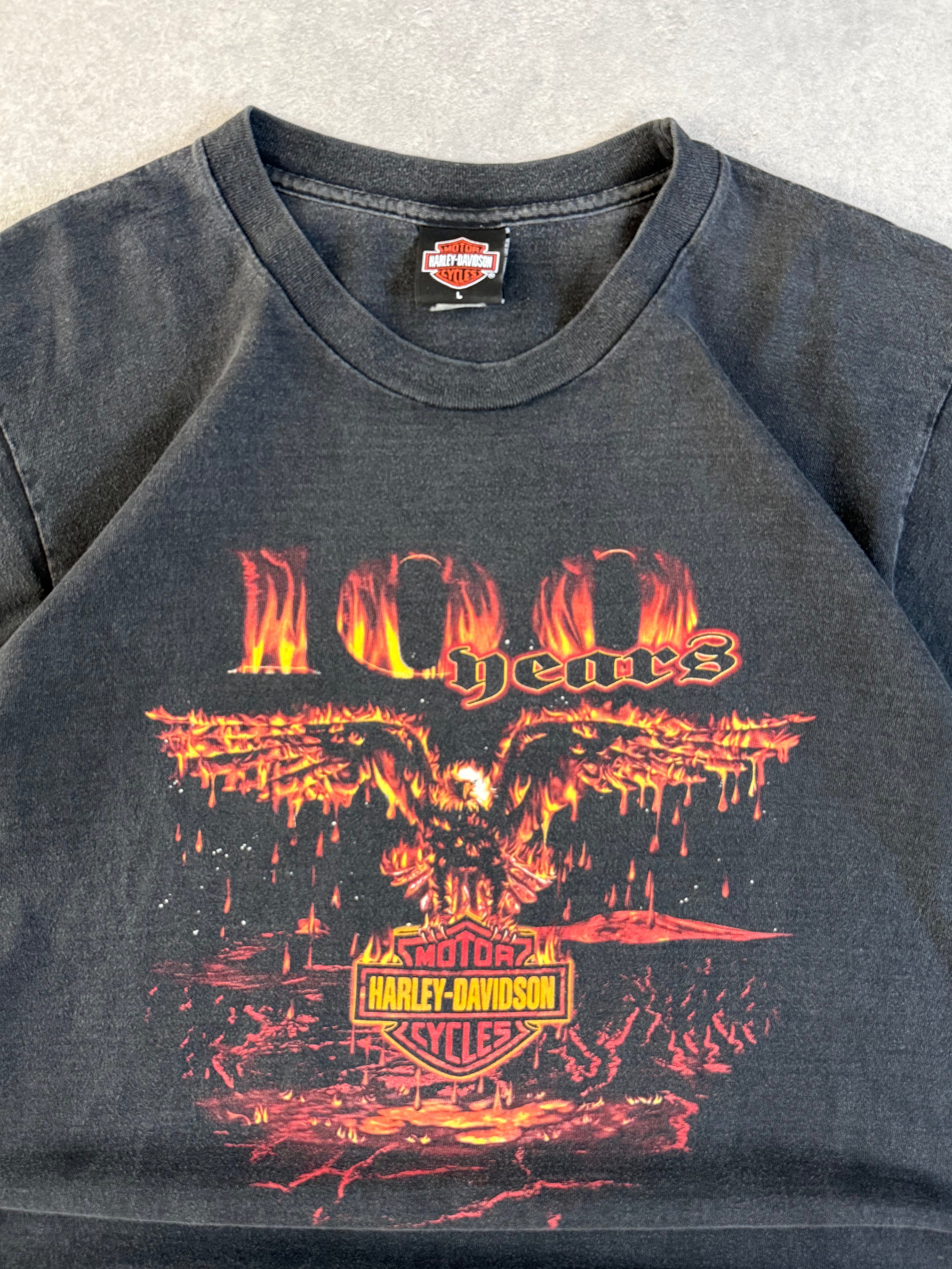 Vintage Harley Davidson Faded Eagle Flame T-shirt