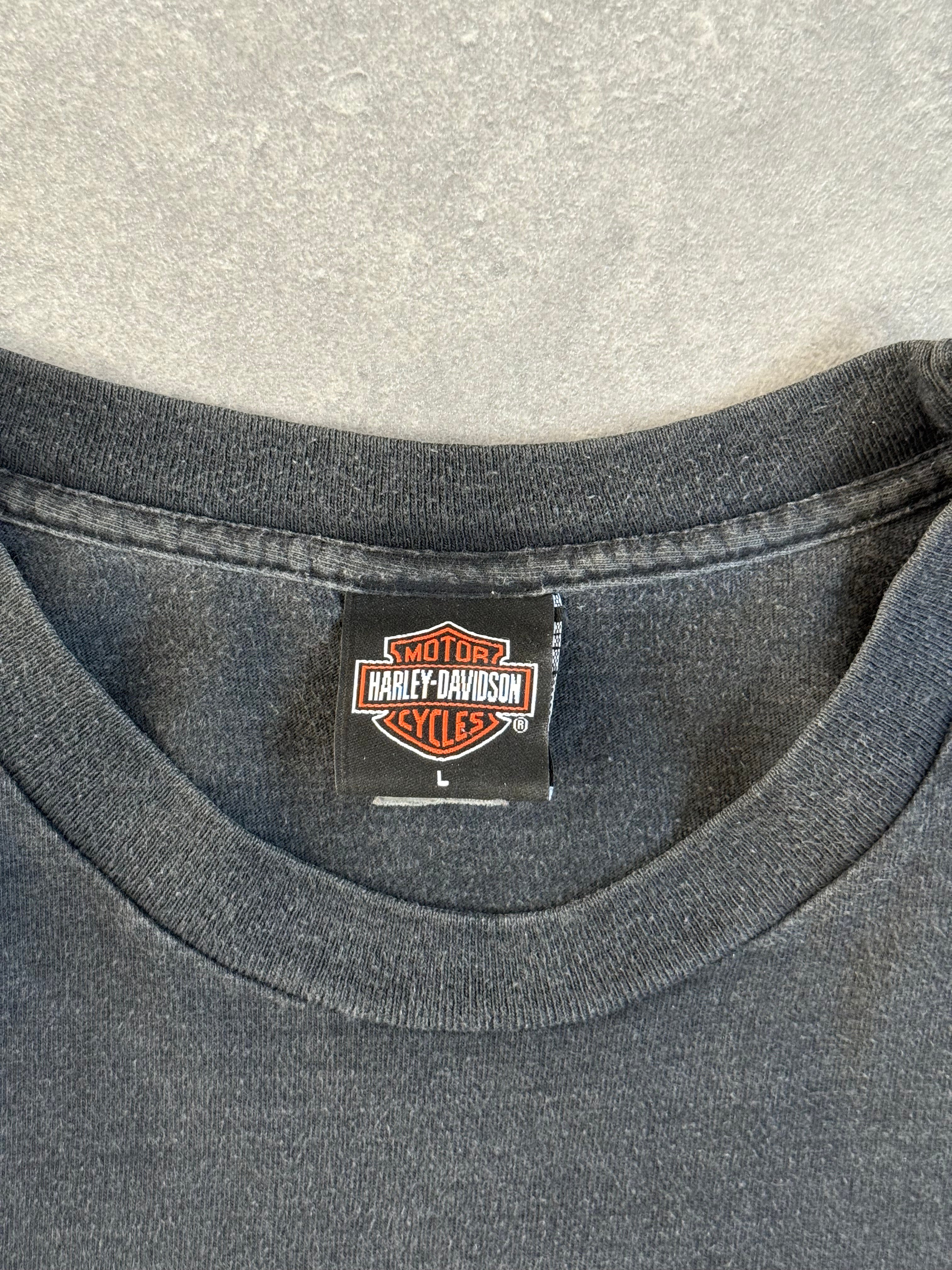 Vintage Harley Davidson Faded Eagle Flame T-shirt